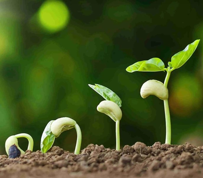 https://merx-it.com/wp-content/uploads/2025/10/Screenshot_3-10-2025_215935_www.alsalab.it_.jpeg